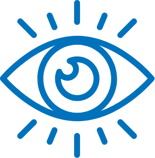 Our Vision